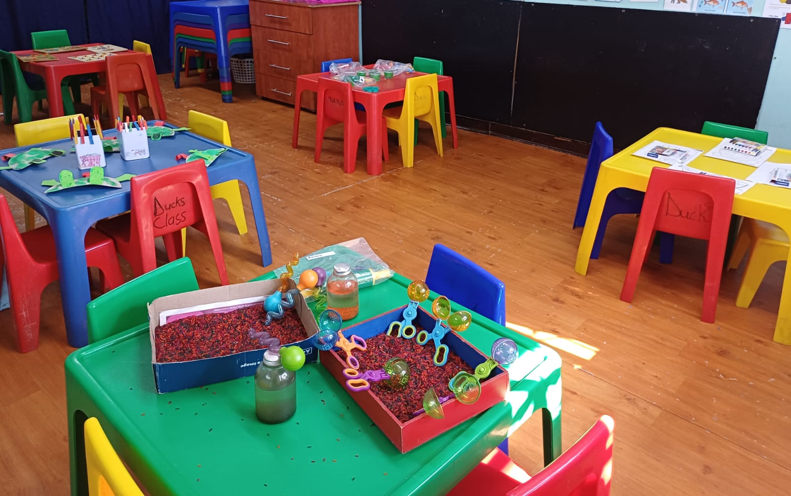 Duck Class 2